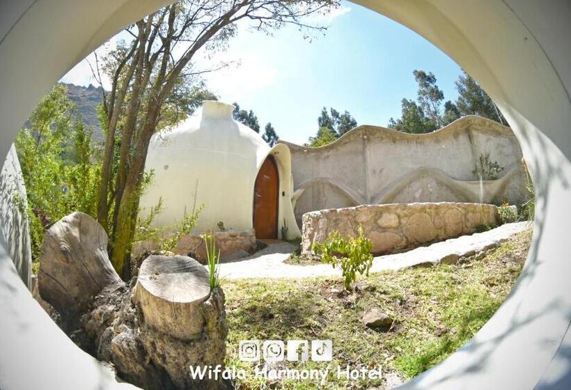 Standart Oda, Wifala Harmony