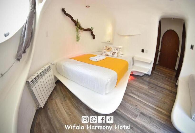 Standart Oda, Wifala Harmony