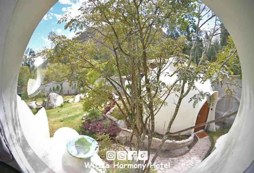 Standart Oda, Wifala Harmony