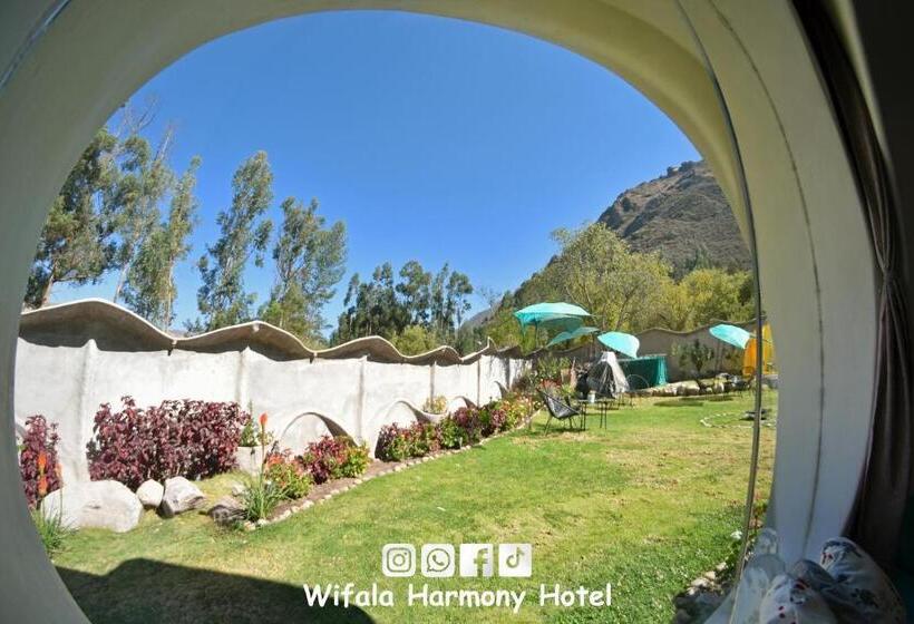 Delüks Oda, Wifala Harmony