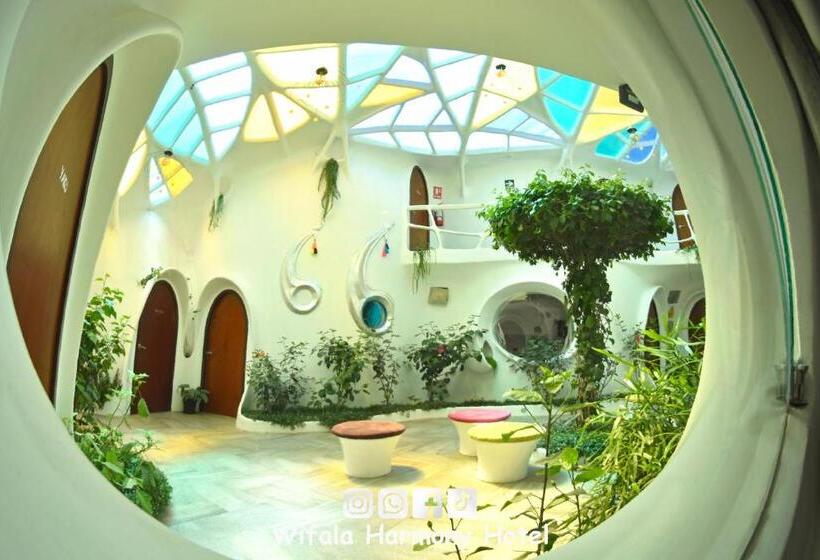 Standart Oda, Wifala Harmony