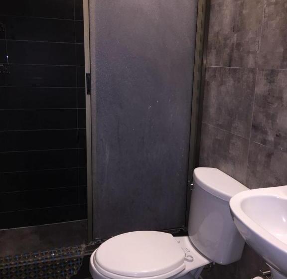 スタンダードルーム, El Camino