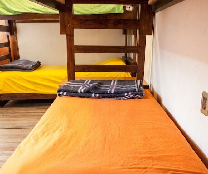 تختخواب در اتاق مشترک, The Adventure Brew Downtwon Hostel