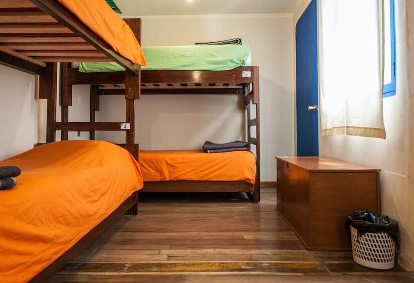 تختخواب در اتاق مشترک, The Adventure Brew Downtwon Hostel