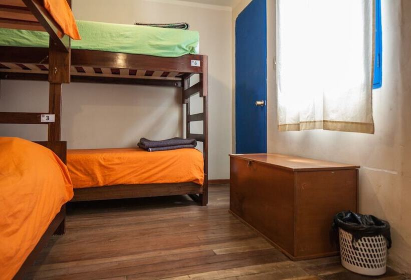 تختخواب در اتاق مشترک, The Adventure Brew Downtwon Hostel