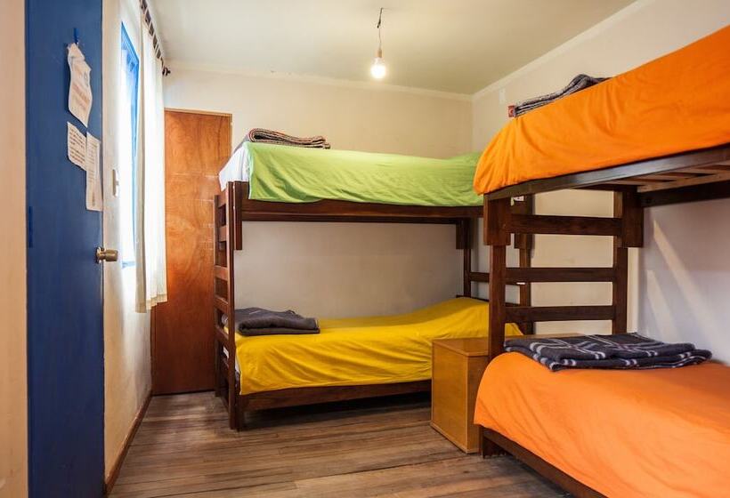 تختخواب در اتاق مشترک, The Adventure Brew Downtwon Hostel