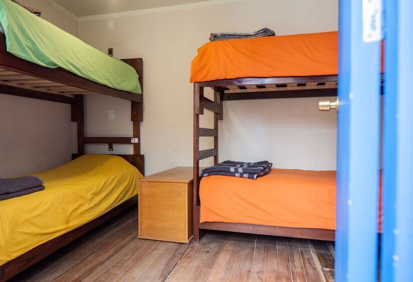 تختخواب در اتاق مشترک, The Adventure Brew Downtwon Hostel