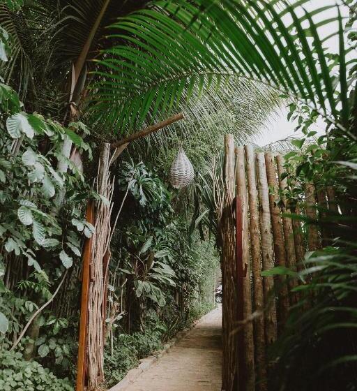 جناح, Paua Hotel Boutique