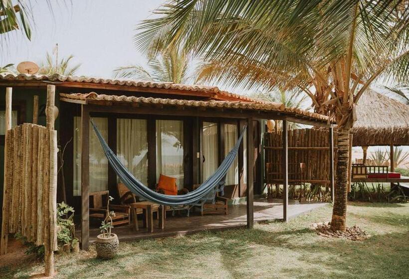 بنجلو قياسى مطل على البحر, Paua Hotel Boutique