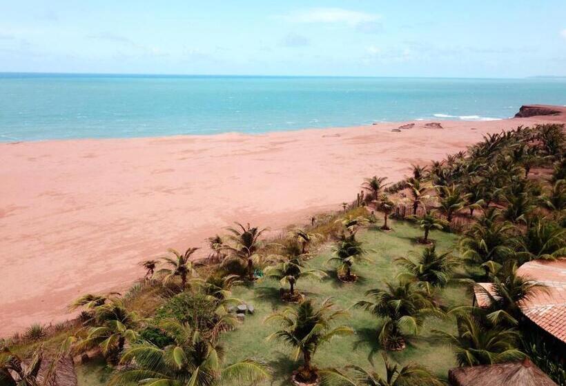 بنجلو قياسى مطل على البحر, Paua Hotel Boutique