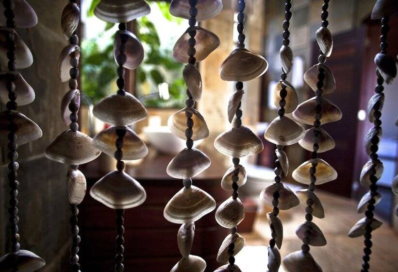 بنجلو قياسى مطل على البحر, Paua Hotel Boutique