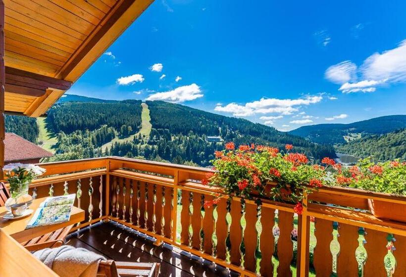 חדר דלוקס עם מרפסת, Pension Happy Superior