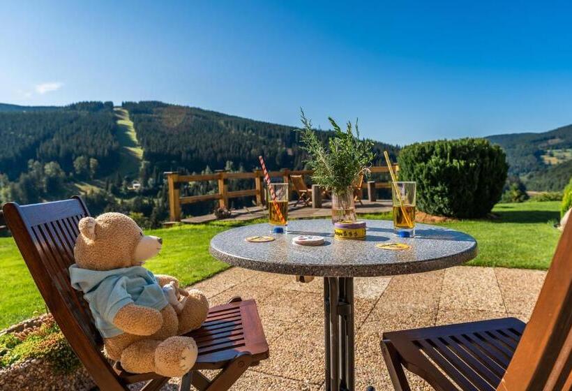 Family flat with terrace, Pension Happy Superior