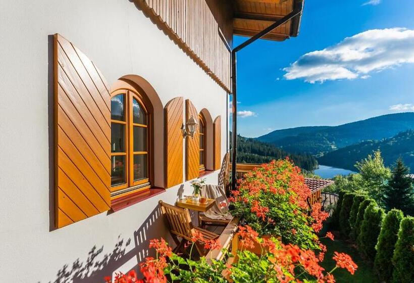 Апартаменты Superior 1 Спальня, Pension Happy Superior