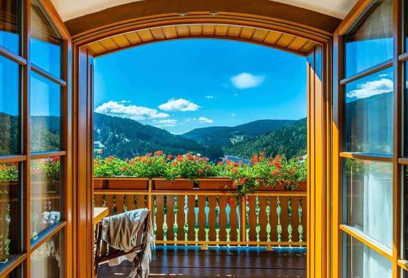 חדר דלוקס עם מרפסת, Pension Happy Superior