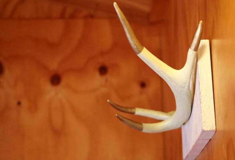 バス共有のスタンダードルーム, Alpine-pacific Holiday Park