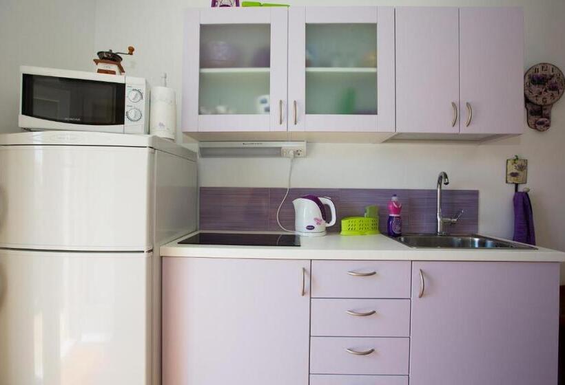 اتاق استاندارد با سرویس بهداشتی مشترک, Guest House Gugily