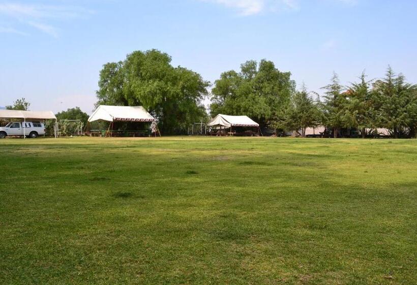 스탠다드 룸 더블 침대 2개, Quetzalcalli