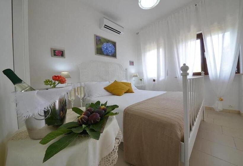 اتاق لوکس, B&b Villa Pacifica