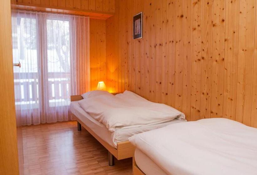 带1个卧室的高级公寓, Des Bains D Ovronnaz