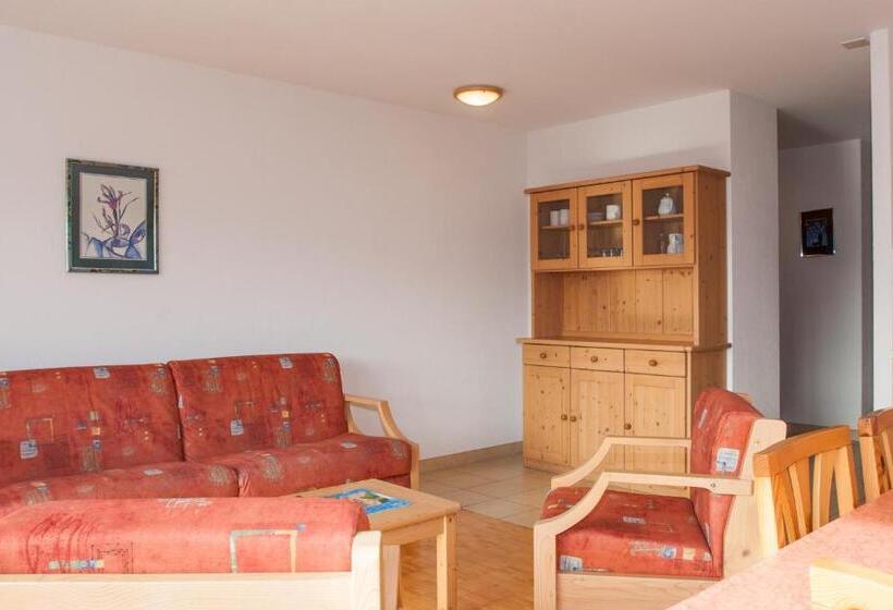 带1个卧室的高级公寓, Des Bains D Ovronnaz