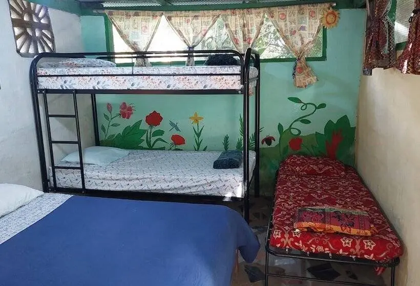 ファミリールーム, La Casita De Don Daniel
