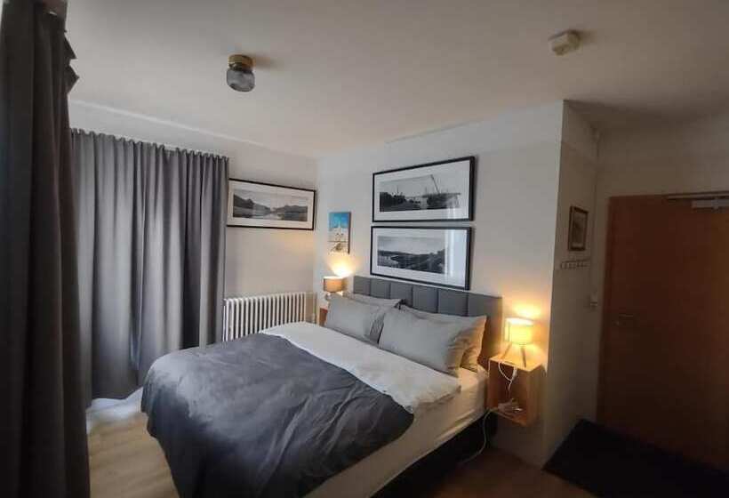 اتاق استاندارد با سرویس بهداشتی مشترک, Snorri's Guesthouse