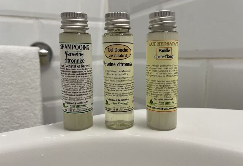 اتاق استاندارد برای معلولان, Hôtel Le Grand Bleu