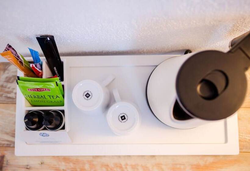 اتاق استاندارد برای معلولان, Hôtel Le Grand Bleu