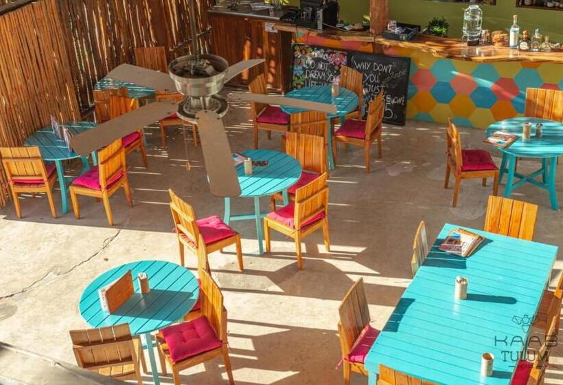 Havuz Manzaralı Standart Oda, Kaab Tulum