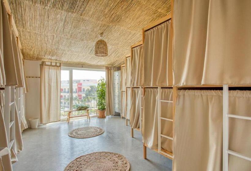 تختخواب در اتاق مشترک, Selina Boavista Ericeira