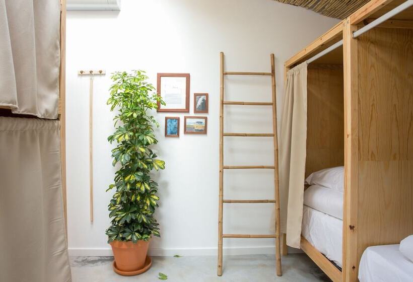 تختخواب در اتاق مشترک, Selina Boavista Ericeira