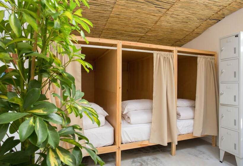 تختخواب در اتاق مشترک, Selina Boavista Ericeira