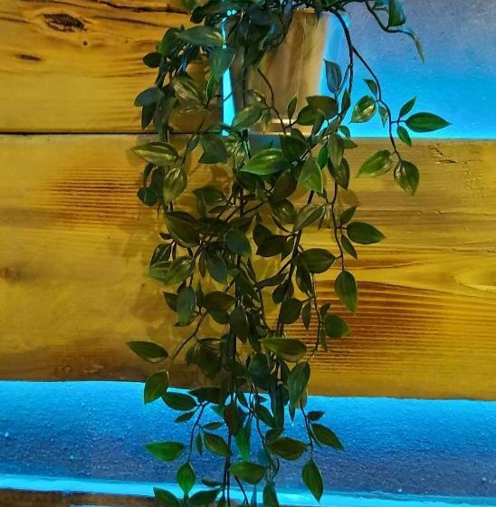 آپارتمان یک خوابه با دری مشترک که هال را جدا می کند., Marconi Rooms And Apartments