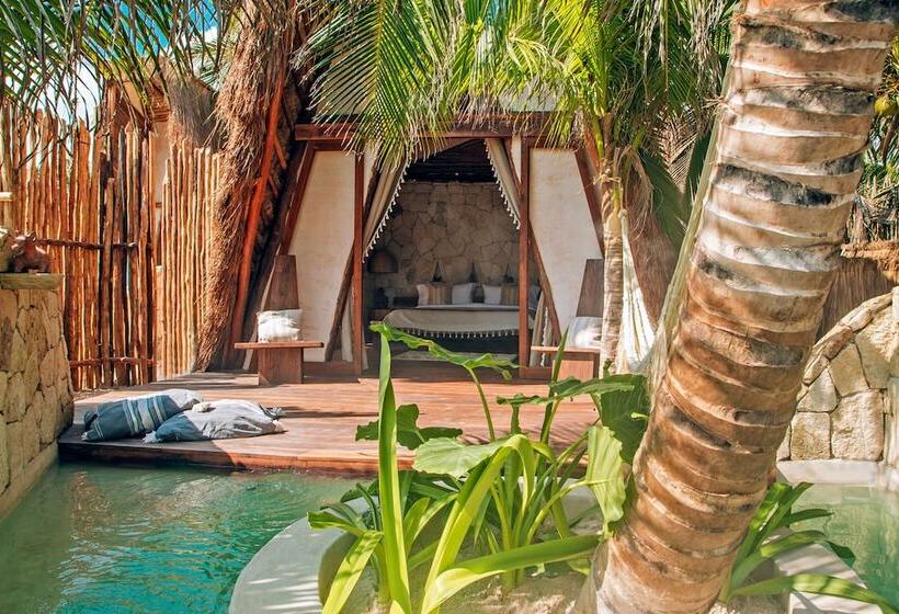 سوییت با چشمانداز دریا, Ikal Tulum