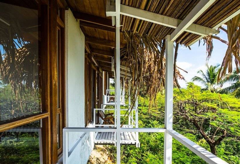 스위트 킹사이즈 침대, Nosara Beach