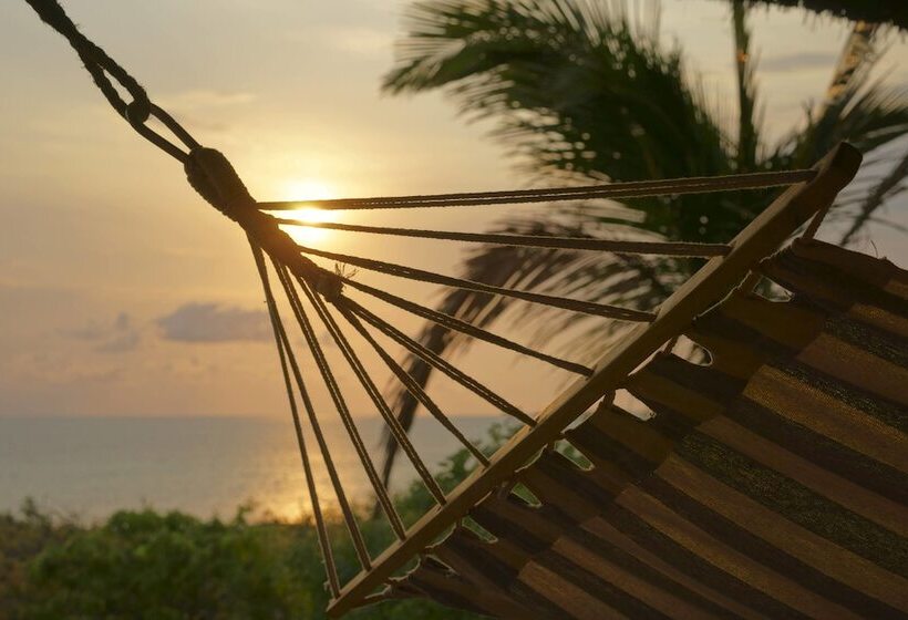 خانه 1 خوابه, Asdunas Lodge