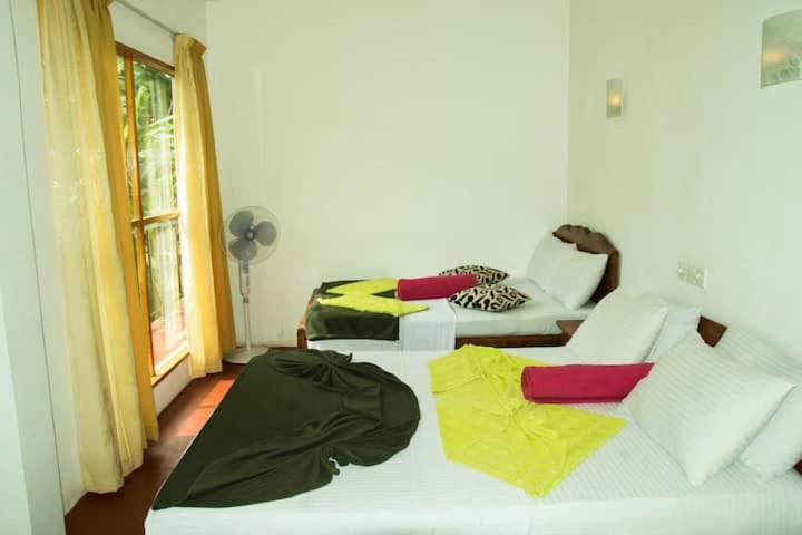 패밀리 룸, Mars Wonderland View