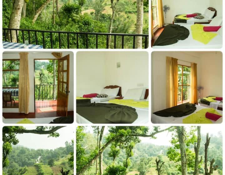 패밀리 룸, Mars Wonderland View