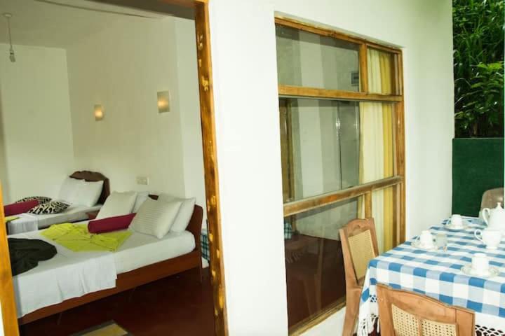 스탠다드 발코니 룸, Mars Wonderland View