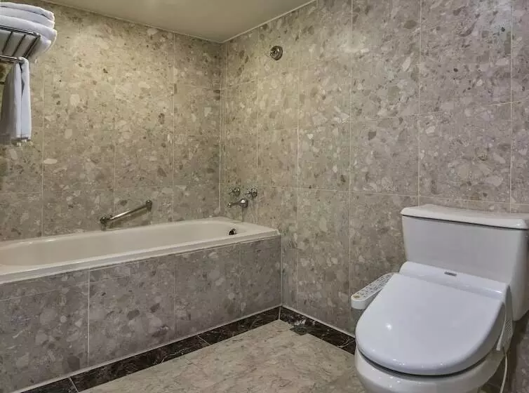 デラックスルーム, The Carlton Hotel Hsinchu