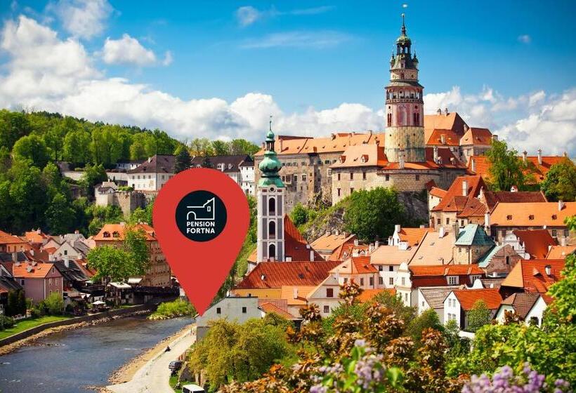 标准房带园景, Pension Fortna