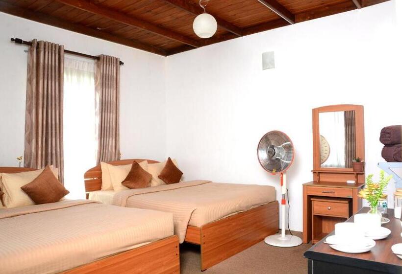 패밀리 룸, The Fern Inn