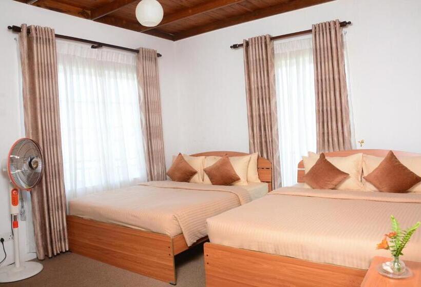 패밀리 룸, The Fern Inn