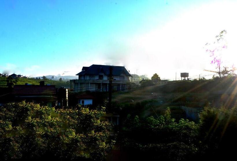 디럭스 룸, The Fern Inn