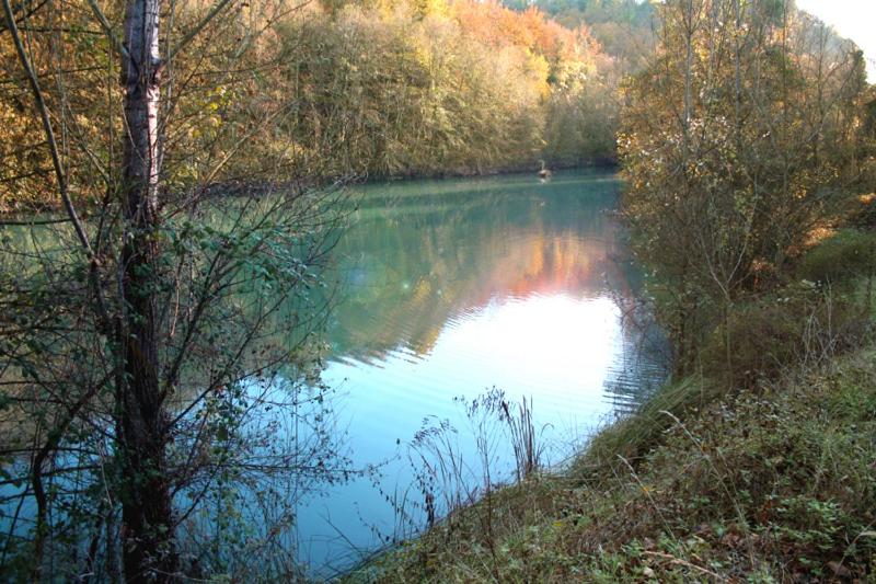 庭の見える１ベッドルームアパートメント, San Giorgio Villam