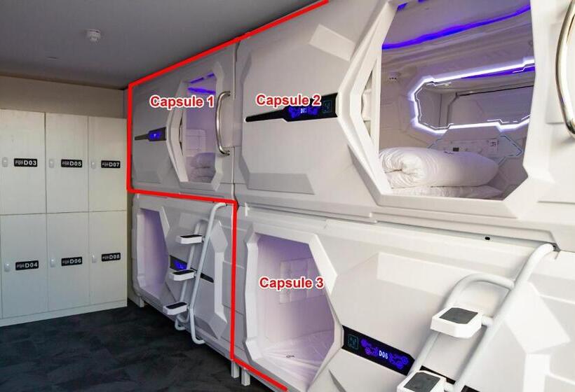 共用房间的床, Pod Inn