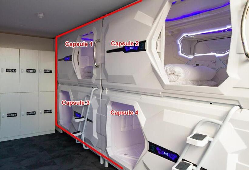 共用房间的床, Pod Inn