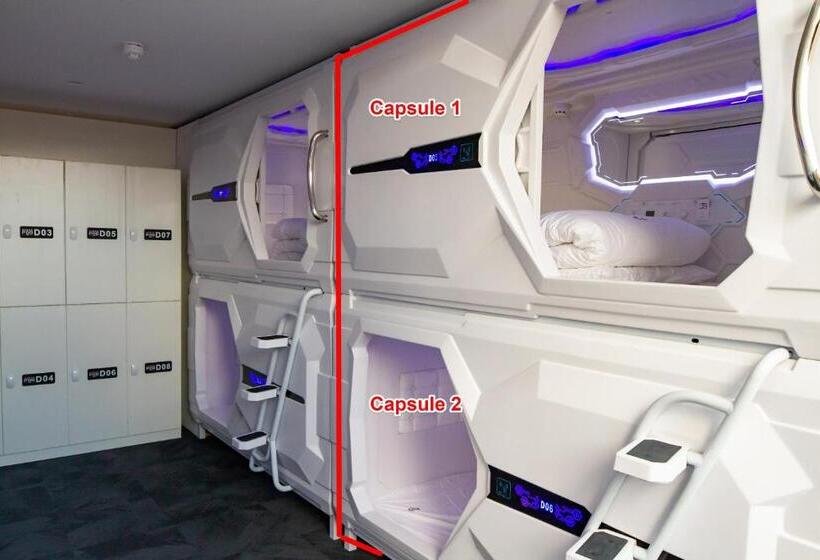 共用房间的床, Pod Inn