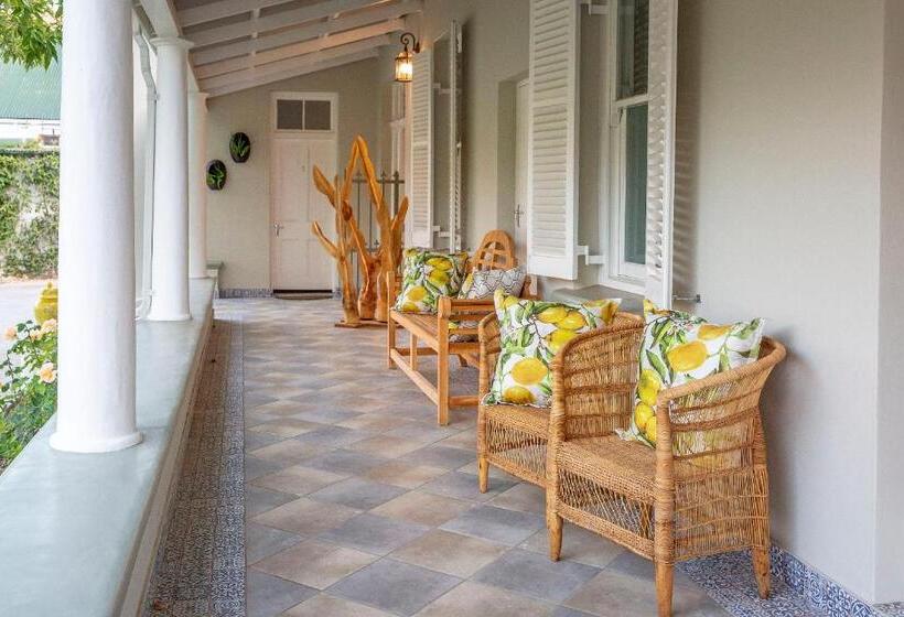 スタンダードルーム, Monte Vista Boutique